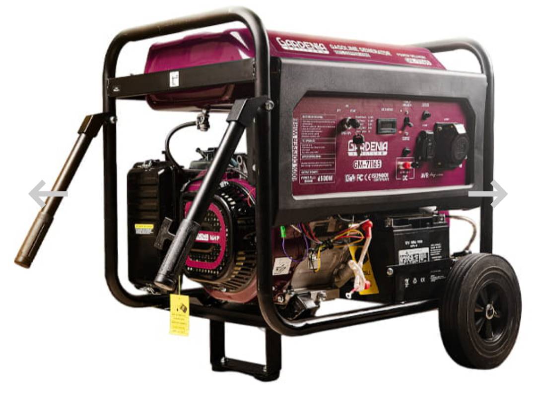 موتور برق گاردنیا 6.5 کیلو وات مدل GM-71165